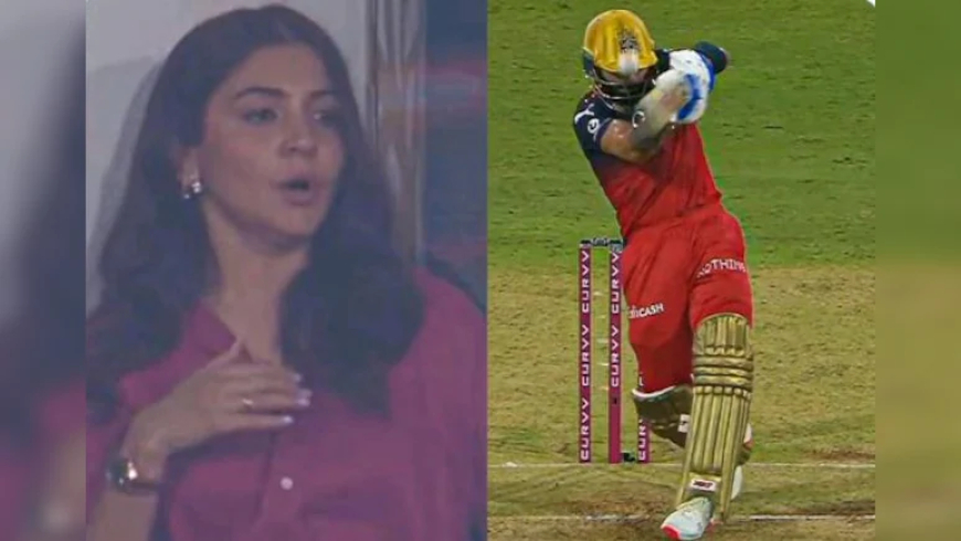 IPL 2025: ವಿರಾಟ್ ಕೊಹ್ಲಿ ತಲೆ ಬಿದ್ದ ಬಾಲ್..! ಅನುಷ್ಕಾ ಶರ್ಮಾ ರಿಯಾಕ್ಷನ್ ವಿಡಿಯೋ ವೈರಲ್