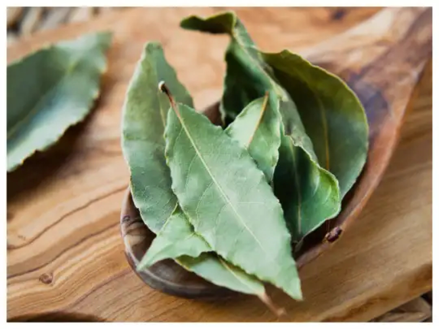 Pulao leaf: ಅಡುಗೆಗೆ ಮಾತ್ರವಲ್ಲ ಆರೋಗ್ಯ ಸಮಸ್ಯೆಗೂ ಪರಿಣಾಮಕಾರಿ ಪಲಾವ್ ಎಲೆ !
