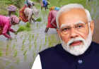 PM Kisan: ರೈತರಿಗೆ ಗುಡ್ ನ್ಯೂಸ್: ಈ ದಿನದಂದು ನಿಮ್ಮ ಖಾತೆ ಸೇರುತ್ತೆ ಪಿಎಂ ಕಿಸಾನ್ 20ನೇ ಕಂತಿನ ಹಣ!