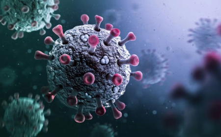 Covid 19: ಕರ್ನಾಟಕದಲ್ಲಿ ಕೊರೊನಾ ಭೀತಿ: ಸಾರ್ವಜನಿಕರಿಗೆ ಪ್ರಮುಖ ಸೂಚನೆ ನೀಡಿದ ಆರೋಗ್ಯ ಇಲಾಖೆ