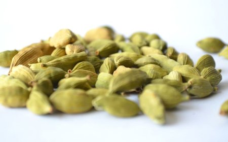 ದಿನಕ್ಕೆ ಎರಡು ಏಲಕ್ಕಿ ತಿಂದ್ರೆ ಏನೆಲ್ಲಾ ಪ್ರಯೋಜನ ಗೊತ್ತಾ? ಇಲ್ಲಿದೆ ಮಾಹಿತಿ