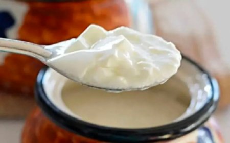 ಮೊಸರು ತಿನ್ನಲು ಸರಿಯಾದ ಸಮಯ ಯಾವುದು!? ಈ ಸಮಯದಲ್ಲಿ ತಿನ್ನಬಾರದು