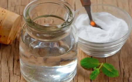 ಬೆಳಗ್ಗೆ ಖಾಲಿ ಹೊಟ್ಟೆಯಲ್ಲಿ ಉಪ್ಪು ನೀರು ಕುಡಿಯುವುದರಿಂದ ಏನು ಪ್ರಯೋಜನ; ಇಲ್ಲಿದೆ  ಮಾಹಿತಿ