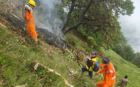 ಕೇದಾರನಾಥದಿಂದ ಹೊರಟ ಹೆಲಿಕಾಪ್ಟರ್ ಪತನ: ಪೈಲಟ್ ಸೇರಿದಂತೆ 7 ಮಂದಿ ಸಾವು