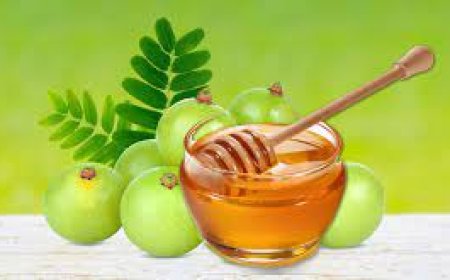 ಜೇನುತುಪ್ಪದಲ್ಲಿ ನೆನೆಸಿದ ಬೆಟ್ಟದ ನೆಲ್ಲಿಕಾಯಿ ತಿನ್ನುವುದರಿಂದಾಗುವ ಅದ್ಭುತ ಪ್ರಯೋಜನಗಳೇನು ಗೊತ್ತಾ..?