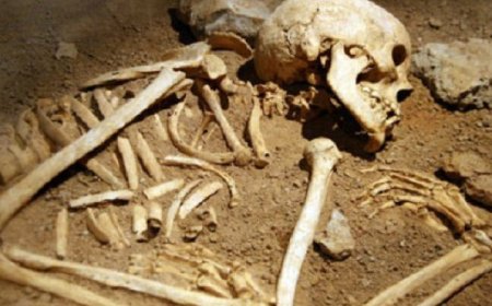 ಸಿಲಿಕಾನ್ ಸಿಟಿಯ ಅಪಾರ್ಟ್ಮೆಂಟ್’ನಲ್ಲಿ ಅಸ್ಥಿಪಂಜರ ಪತ್ತೆ! ಇದು ಮನುಷ್ಯನದ್ದೋ, ಪ್ರಾಣಿಯದ್ದೋ?