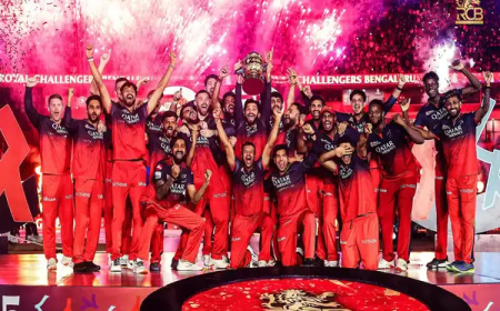 IPL 2025 Final: ದಾಖಲೆಯ ವೀಕ್ಷಣೆ: ಗೆಲುವಿನೊಂದಿಗೆ ಹೊಸ ಇತಿಹಾಸ ಸೃಷ್ಟಿಸಿದ RCB..!