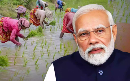 ರೈತರಿಗೆ ಭರ್ಜರಿ ಗುಡ್ ನ್ಯೂಸ್: ಈ ದಿನ ನಿಮ್ಮ ಖಾತೆಗೆ ಪಿಎಂ ಕಿಸಾನ್ ಯೋಜನೆಯ  ಹಣ ಜಮಾ!