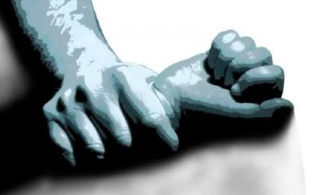 ಆಘಾತಕಾರಿ ಘಟನೆ: ಪಬ್ ನಲ್ಲೇ  ಸಹೋದ್ಯೋಗಿ ಮೇಲೆ ಲೈಂಗಿಕ ದೌರ್ಜನ್ಯಕ್ಕೆ ಯತ್ನ- ಆರೋಪಿ ಅರೆಸ್ಟ್!