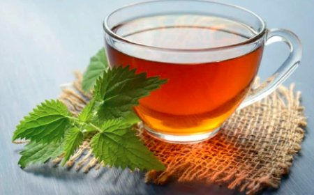 ಪ್ರತಿದಿನ ಬೆಳಿಗ್ಗೆ ಗ್ರೀನ್ ಟೀ ಕುಡಿದರೆ ಎಷ್ಟೆಲ್ಲಾ ಆರೋಗ್ಯ ಪ್ರಯೋಜನಗಳಿವೆ ಗೊತ್ತಾ?