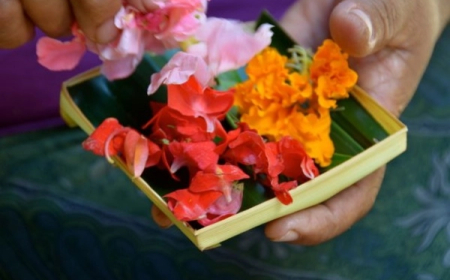 ನಿತ್ಯ ಪೂಜೆ ಮಾಡುವವರೇ ಗಮನಿಸಿ.. ಯಾವ ದೇವರಿಗೆ ಯಾವ ಹೂ ಇಷ್ಟ – ಇಲ್ಲಿದೆ ಮಾಹಿತಿ