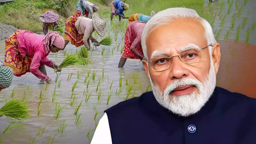 PM Kisan: ಪಿಎಂ ಕಿಸಾನ್ ಸಮ್ಮಾನ್ ನಿಧಿ 20ನೇ ಕಂತು ಬಿಡುಗಡೆ ಯಾವಾಗ.? ಇಲ್ಲಿದೆ ಫುಲ್ ಡಿಟೇಲ್ಸ್