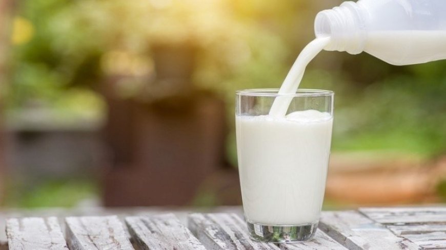 Milk Benefits: ಪ್ರತಿನಿತ್ಯ ಹಾಲು ಕುಡಿಯೋದ್ರಿಂದ ಎಷ್ಟೆಲ್ಲಾ ಆರೋಗ್ಯ ಪ್ರಯೋಜನಗಳಿವೆ ಗೊತ್ತಾ..?