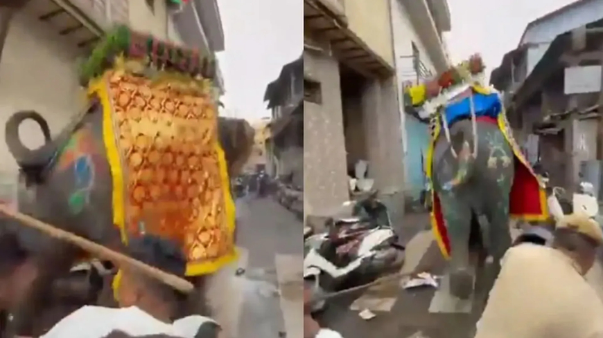 ಕಿರಿದಾದ ಬೀದಿಯಲ್ಲಿ ದಿಕ್ಕಾಪಾಲಾಗಿ ಓಡಿದ ಆನೆಗಳು.. ಬೆಚ್ಚಿಬಿದ್ದ ಭಕ್ತರು! ಜಗನ್ನಾಥ ರಥಯಾತ್ರೆಯಲ್ಲಿ ಏನಾಯ್ತು?