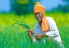PM Kisan Yojana: ರೈತರಿಗೆ ಸಂತಸದ ಸುದ್ದಿ: ಈ ದಿನ ನಿಮ್ಮ ಖಾತೆ ಸೇರುತ್ತೆ 20ನೇ  ಕಂತಿನ ಹಣ!
