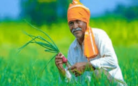 PM Kisan Yojana: ರೈತರಿಗೆ ಸಂತಸದ ಸುದ್ದಿ: ಈ ದಿನ ನಿಮ್ಮ ಖಾತೆ ಸೇರುತ್ತೆ 20ನೇ  ಕಂತಿನ ಹಣ!