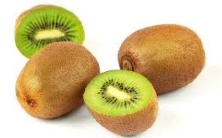 Kiwi In Monsoon: ಪ್ರತಿದಿನ ಒಂದು ಕಿವಿ ಹಣ್ಣನ್ನು ತಿನ್ನುವುದು ಅತ್ಯಗತ್ಯ..! ಯಾಕೆ ಗೊತ್ತಾ..?