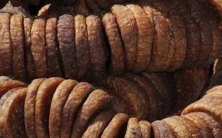 ನೀವು ಸ್ಲಿಮ್ ಆಗ್ಬೇಕಾ!? ಹಾಗಿದ್ರೆ ಬೆಳಿಗ್ಗೆ ಖಾಲಿ ಹೊಟ್ಟೆಯಲ್ಲಿ ಈ ರೀತಿ ಅಂಜೂರ ಸೇವನೆ ಮಾಡಿ!