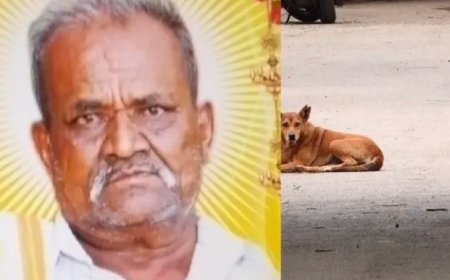 Street Dog Attack: ಬೀದಿ ನಾಯಿಗಳ ದಾಳಿಗೆ ಸ್ಥಳದಲ್ಲೇ ಪ್ರಾಣಬಿಟ್ಟ ವೃದ್ಧ!