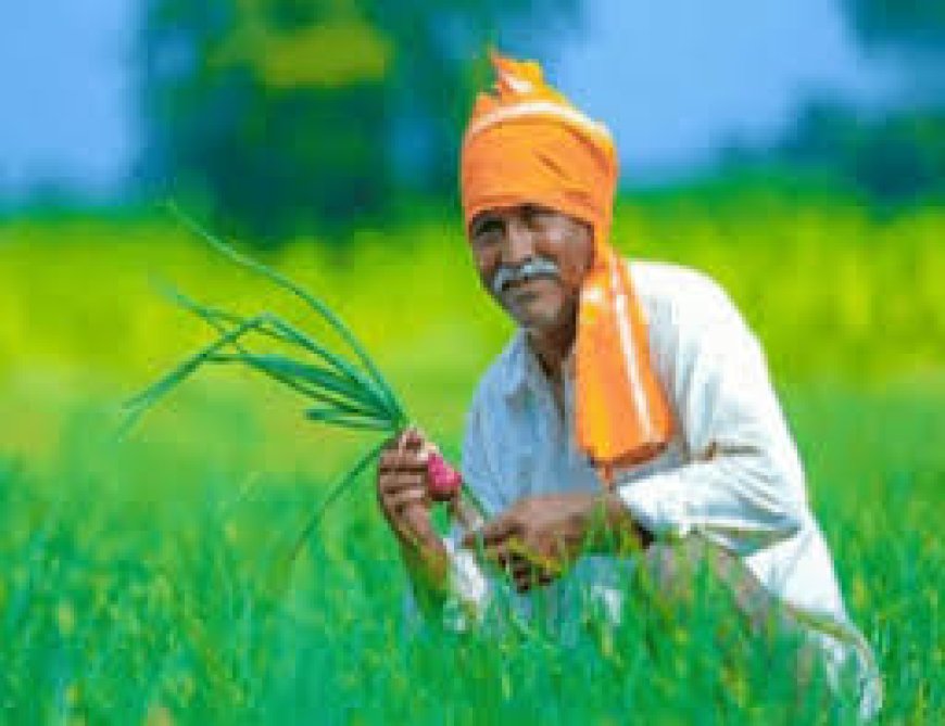 PM Kisan Yojana: ರೈತರಿಗೆ ಸಂತಸದ ಸುದ್ದಿ: ಈ ದಿನ ನಿಮ್ಮ ಖಾತೆ ಸೇರುತ್ತೆ 20ನೇ ಕಂತಿನ ಹಣ!