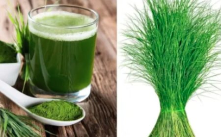 ಗರಿಕೆ ಹುಲ್ಲಿನ ಜ್ಯೂಸ್ ಕುಡಿಯುವುದರಿಂದ ದೇಹಕ್ಕೆ ಎಷ್ಟು ಲಾಭಗಳಿವೆ ಗೊತ್ತಾ?