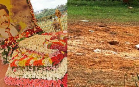 ರಾತ್ರೋರಾತ್ರಿ ಡಾ.ವಿಷ್ಣುವರ್ಧನ್ ಸ್ಮಾರಕ ನೆಲಸಮ..! ಅಷ್ಟಕ್ಕೂ ಆಗಿದ್ದೇನು..?