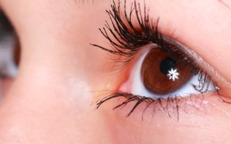 ಕಣ್ಣಿನ ದೃಷ್ಟಿ ಚೆನ್ನಾಗಿರಬೇಕು ಅಂದ್ರೆ ಈ ಆಹಾರಗಳನ್ನು ಸೇವನೆ ಮಾಡಿ ಸಾಕು..!