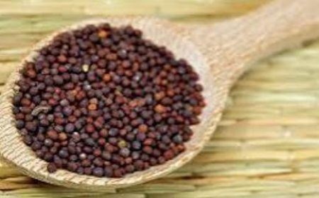 ನಿತ್ಯ ಸಾಸಿವೆಯನ್ನು ಸೇವಿಸೋದ್ರಿಂದ ಎಷ್ಟೆಲ್ಲಾ ಬೆನಿಫಿಟ್ ಗೊತ್ತಾ?