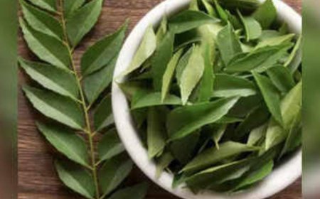 ನೆನೆಸಿದ ಕರಿಬೇವು ನೀರು ಕುಡಿದರೆ ಎಷ್ಟೆಲ್ಲಾ ಬೆನಿಫಿಟ್ ಗೊತ್ತಾ?