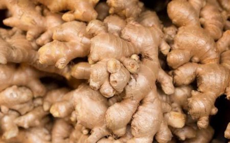 ಶುಂಠಿಯ ಅಧ್ಬುತ ಪ್ರಯೋಜನ ತಿಳಿದ್ರೆ ನೀವೇ Wow ಅಂತೀರಾ! ಈ ಸ್ಟೋರಿ ನೋಡಿ