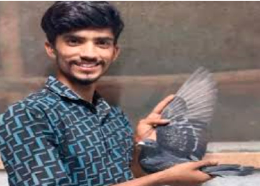 ಮಾಲೀಕನನ್ನ ಹುಡುಕಿಕೊಂಡು 1790 ಕಿ.ಮೀ ಕ್ರಮಿಸಿ ಬಂದ ಪಾರಿವಾಳ..! 