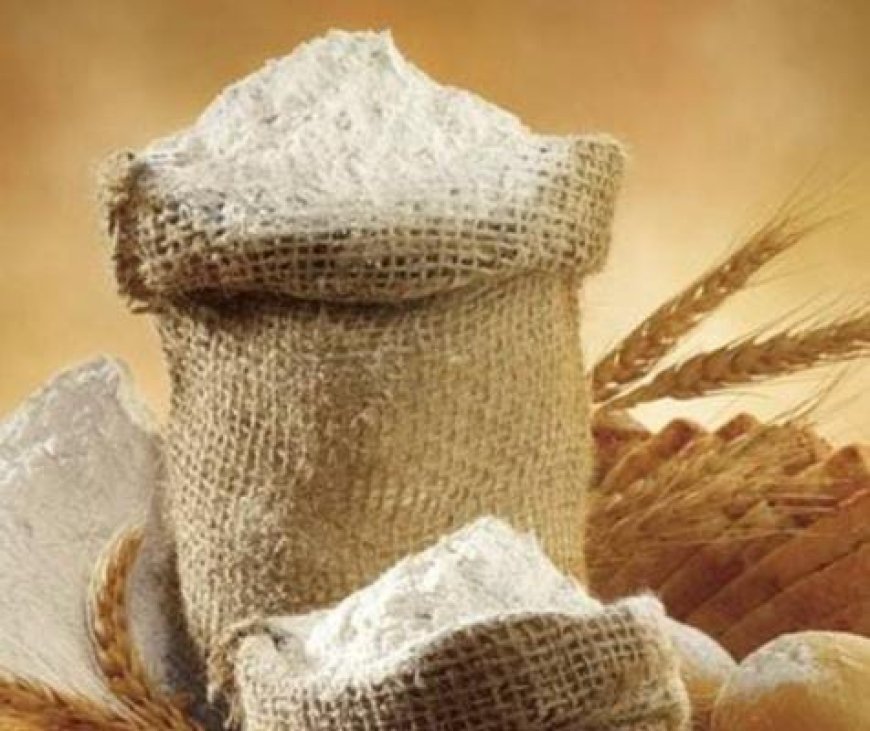 ನಿತ್ಯ ಚಪಾತಿ ತಿಂತೀರಾ? ಹಾಗಿದ್ರೆ ಗೋಧಿ ಹಿಟ್ಟು ಅಸಲಿಯೋ, ನಕಲಿಯೋ? ಎಂದು ಹೀಗೆ ಪತ್ತೆ ಹಚ್ಚಿ!