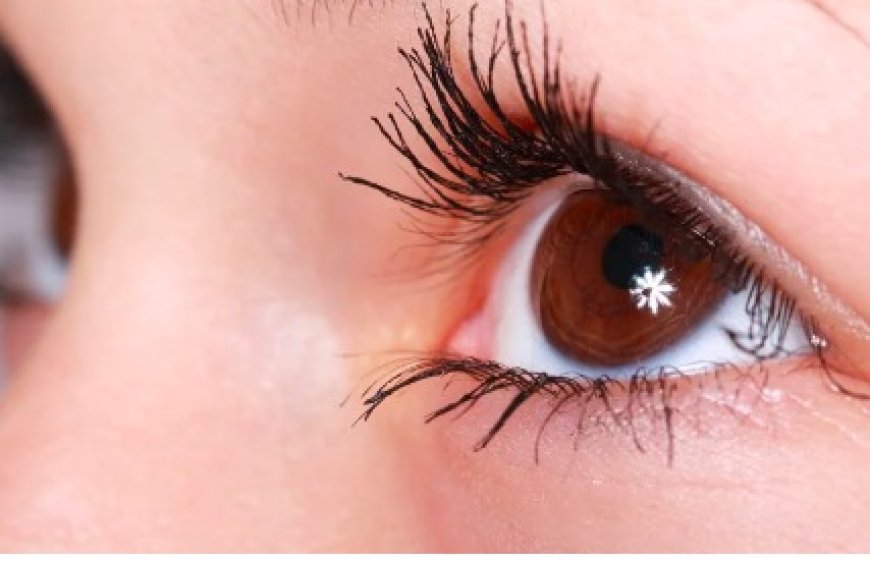 ಕಣ್ಣಿನ ದೃಷ್ಟಿ ಚೆನ್ನಾಗಿರಬೇಕು ಅಂದ್ರೆ ಈ ಆಹಾರಗಳನ್ನು ಸೇವನೆ ಮಾಡಿ ಸಾಕು..!