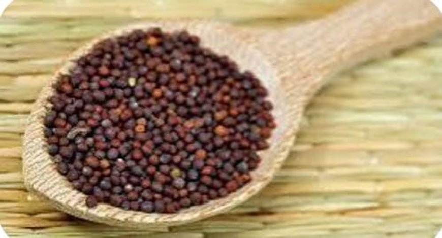 ನಿತ್ಯ ಸಾಸಿವೆಯನ್ನು ಸೇವಿಸೋದ್ರಿಂದ ಎಷ್ಟೆಲ್ಲಾ ಬೆನಿಫಿಟ್ ಗೊತ್ತಾ?