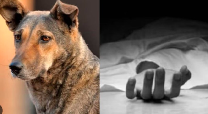 ನಾಯಿ ಬೊಗಳಿತೆಂದು ಮಾಲೀಕನನ್ನು ಕೊಡಲಿಯಿಂದ ಕೊಚ್ಚಿ ಕೊಲೆ ಮಾಡಿದ ವ್ಯಕ್ತಿ!