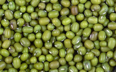 ಯಾವುದೇ ಕಾರಣಕ್ಕೂ ಇಂತವರು ಹೆಸರು ಕಾಳು ತಿನ್ನಬಾರದಂತೆ! ಯಾಕೆ ಗೊತ್ತಾ?