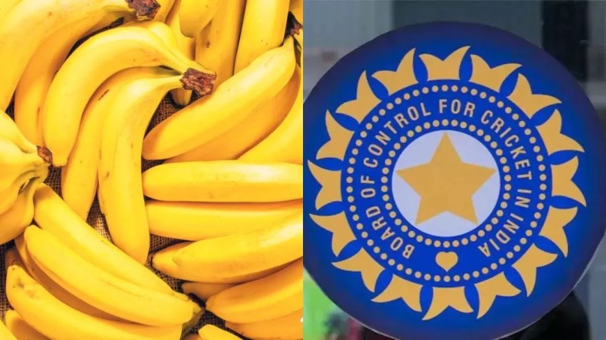 ಬಾಳೆ ಹಣ್ಣುಗಳಿಗೆ ಮಾತ್ರವೇ 35 ಲಕ್ಷ ರೂ. ಖರ್ಚು: ಬಿಸಿಸಿಐಗೆ ಹೈಕೋರ್ಟ್ ನೋಟಿಸ್!