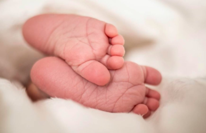 ಶಿಶುವಿನ ಬಾಯಿಗೆ ಗಮ್ ಹಾಕಿ, ಕಲ್ಲು ತುಂಬಿ ಕಾಡಿನಲ್ಲಿ ಎಸೆದು ಹೋದ ಪಾಪಿಗಳು!