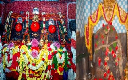 Hasanamba Temple: ಭಕ್ತರಿಗೆ ದರ್ಶನ ಕೊಡಲು ಸಿದ್ಧವಾದ ಹಾಸನಾಂಬೆ! ಡ್ರೆಸ್​ ಕೋಡ್ ಕಡ್ಡಾಯ