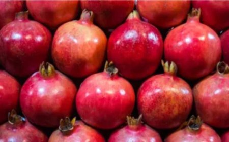 Pomegranate: ಪ್ರತಿ ದಿನ ದಾಳಿಂಬೆ ಹಣ್ಣು ಸೇವಿಸಿ, ಅನೇಕ ಕಾಯಿಲೆಗಳ ಚಿಕಿತ್ಸೆಗೆ ಇದು ಬೆಸ್ಟ್!