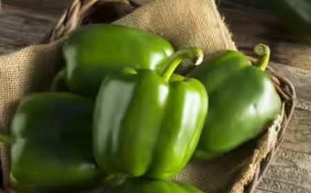 ಬಾಡಿ ಹೆಚ್ಚು ಹೀಟ್ ಆಗಿದ್ರೆ ಕ್ಯಾಪ್ಸಿಕಂ ತಿನ್ನಬಾರದಾ? ತಿಂದ್ರೆ ಏನಾಗತ್ತೆ?