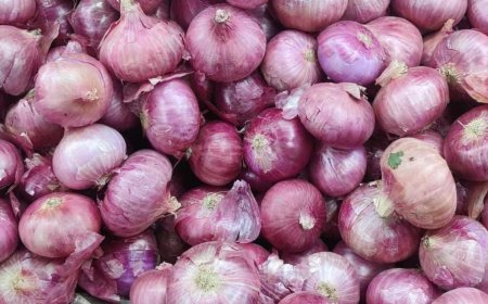 ಈರುಳ್ಳಿ ಬೆಲೆ ಕುಸಿತ: ಕಣ್ಣೀರಲ್ಲಿ “ಅನ್ನದಾತ”! ಬೆಂಬಲ ಬೆಲೆ ನೀಡುವಂತೆ ಆಗ್ರಹ