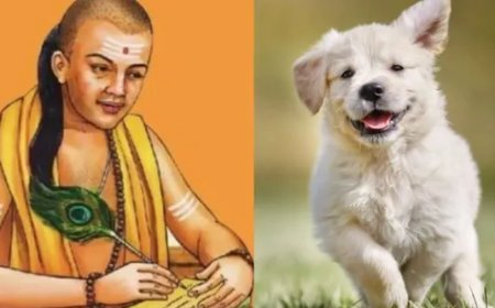 ನಾಯಿಯಿಂದ ಈ ನಾಲ್ಕು ಗುಣಗಳನ್ನು ಮನುಷ್ಯ ಕಲಿಯಲೇಬೇಕು ಎನ್ನುತ್ತಾರೆ ಚಾಣಕ್ಯ!