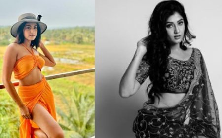 ದಿವ್ಯಾ ಸುರೇಶ್ ವಿರುದ್ಧ ಹಿಟ್ ಅಂಡ್ ರನ್ ಕೇಸ್! ಕಾರ್ ನಿಲ್ಲಿಸದೆಯೇ ಮಾಜಿ ಬಿಗ್ ​​ಬಾಸ್ ಸ್ಪರ್ಧಿ ಪರಾರಿ