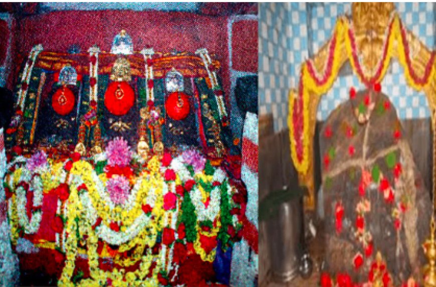 Hasanamba Temple: ಭಕ್ತರಿಗೆ ದರ್ಶನ ಕೊಡಲು ಸಿದ್ಧವಾದ ಹಾಸನಾಂಬೆ! ಡ್ರೆಸ್​ ಕೋಡ್ ಕಡ್ಡಾಯ