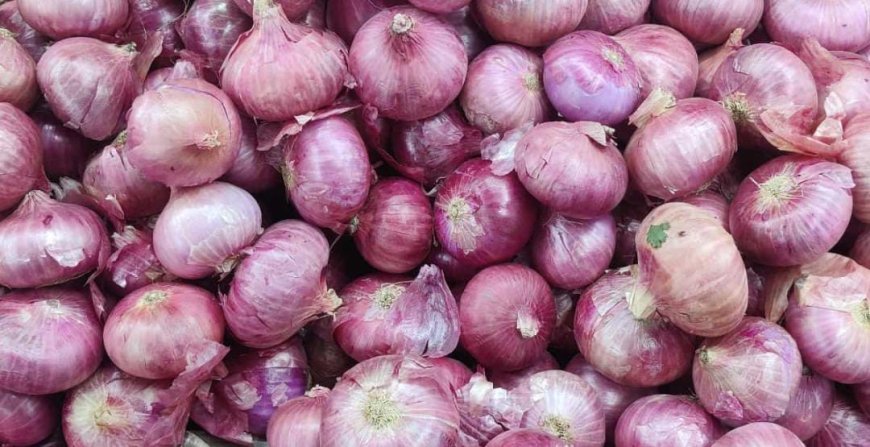 ಈರುಳ್ಳಿ ಬೆಲೆ ಕುಸಿತ: ಕಣ್ಣೀರಲ್ಲಿ “ಅನ್ನದಾತ”! ಬೆಂಬಲ ಬೆಲೆ ನೀಡುವಂತೆ ಆಗ್ರಹ