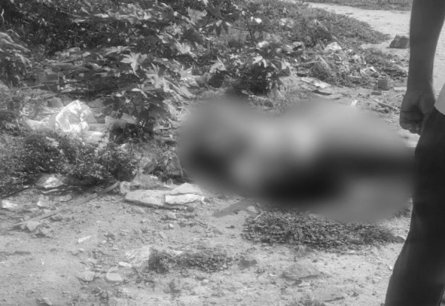 ಬೆಂಗಳೂರಿನಲ್ಲಿ ಪಾಗಲ್ ಪ್ರೇಮಿಯ ಅಟ್ಟಹಾಸ: ಕತ್ತು ಕೊ*ಯ್ದು ವಿದ್ಯಾರ್ಥಿನಿಯ ಬರ್ಬರ ಹ**ತ್ಯೆ!